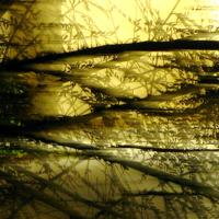 fractal