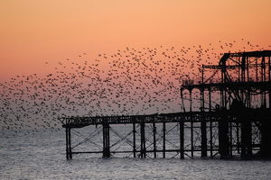 pier