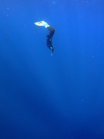 scuba