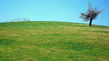 hill