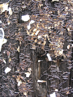 pins