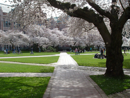 UW quad