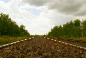 tracks