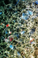 bubbles