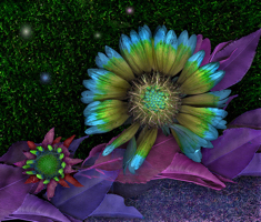 reverse